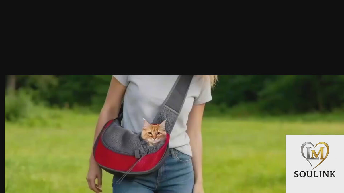 Sac de transport en bandoulière pour petit chien et chat
