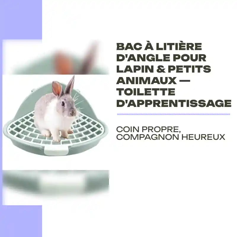 Bac &agrave; Liti&egrave;re d'Angle pour Lapin &amp; Petits Animaux &mdash; Toilette d'Apprentissage by@Outfy